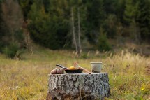 Preserving Nature: Essential Steps to Leave No Trace While Camping